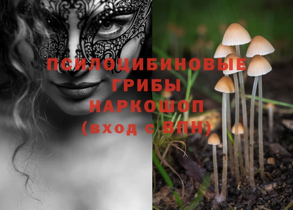 дурь Абаза
