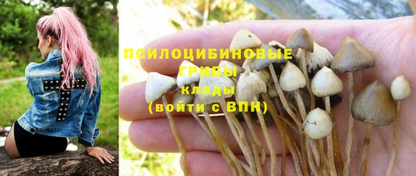 дурь Абаза