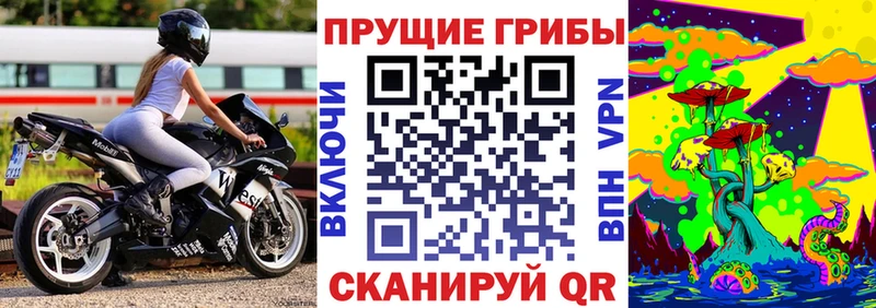где найти Керчь Псилоцибиновые грибы ЛСД
